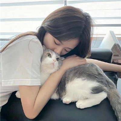 狮子狗行动