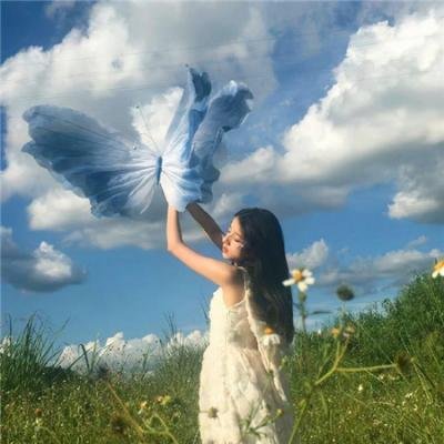白头情侣粤语